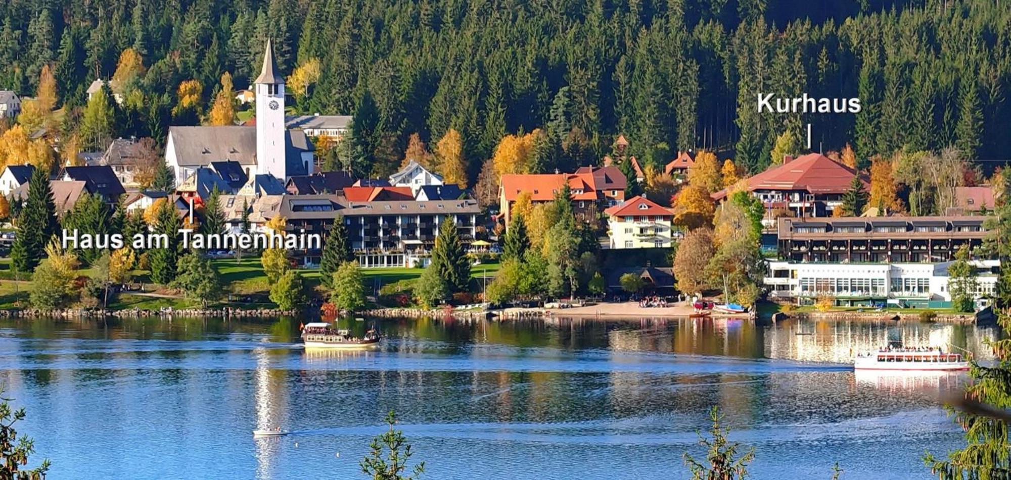 Haus Am Tannenhain ทิทิเซ-นอยชตัดท์ ภายนอก รูปภาพ