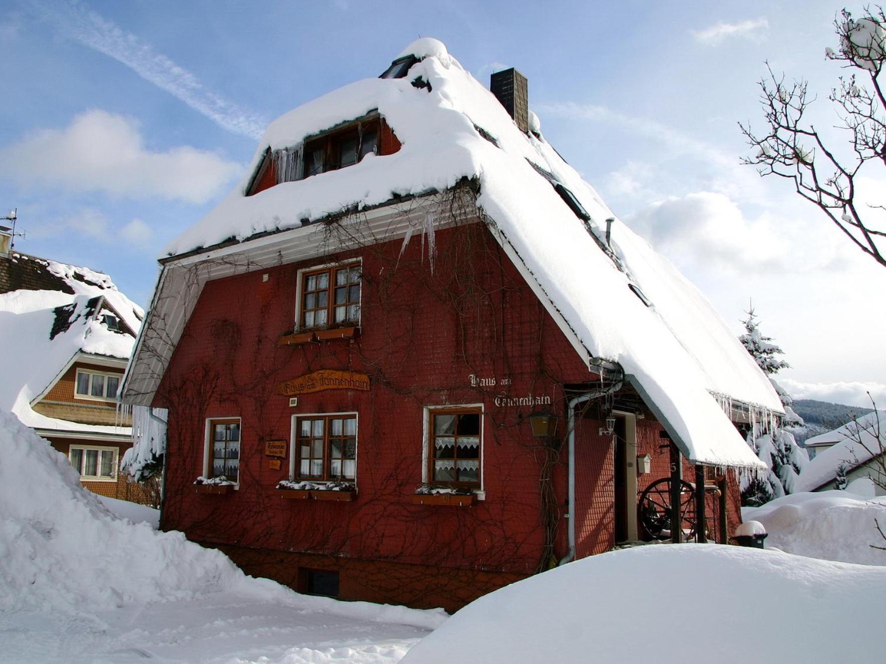 Haus Am Tannenhain ทิทิเซ-นอยชตัดท์ ภายนอก รูปภาพ